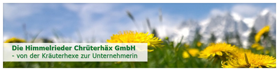 Bild Geschichte
